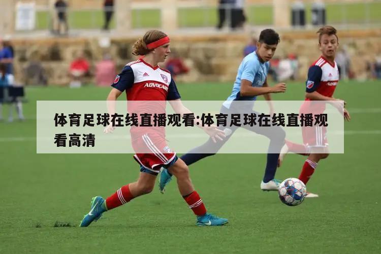 体育足球在线直播观看:体育足球在线直播观看高清