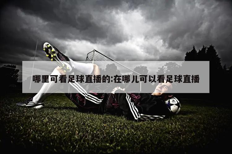 哪里可看足球直播的:在哪儿可以看足球直播