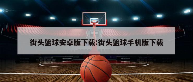 街头篮球安卓版下载:街头篮球手机版下载