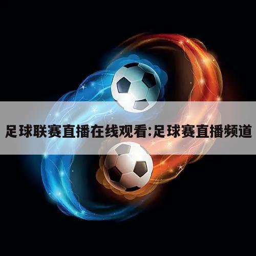 足球联赛直播在线观看:足球赛直播频道