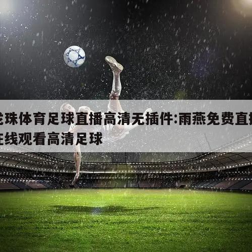 龙珠体育足球直播高清无插件:雨燕免费直播在线观看高清足球