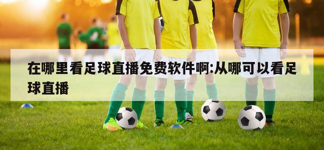 在哪里看足球直播免费软件啊:从哪可以看足球直播