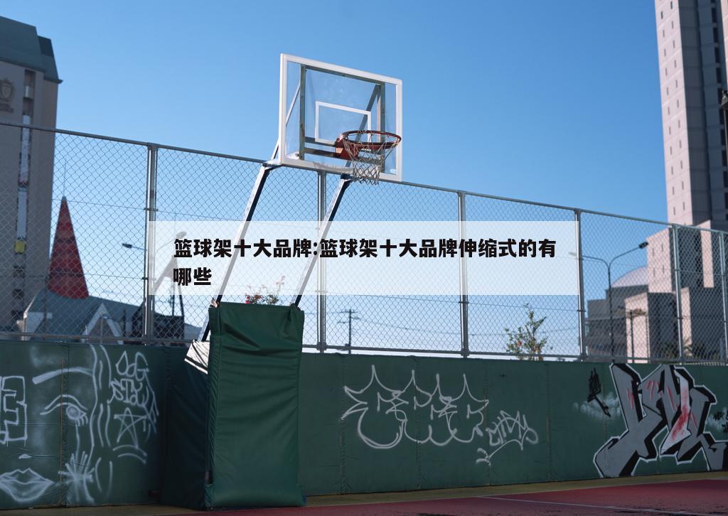 篮球架十大品牌:篮球架十大品牌伸缩式的有哪些