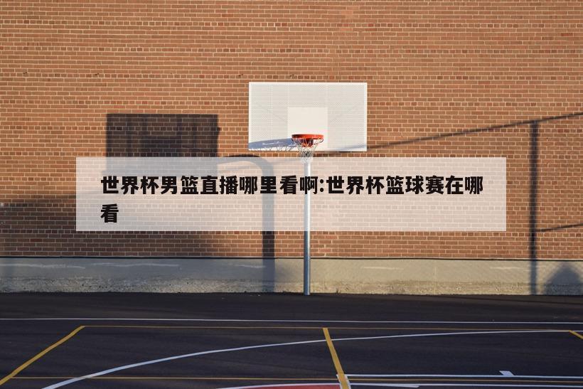 世界杯男篮直播哪里看啊:世界杯篮球赛在哪看