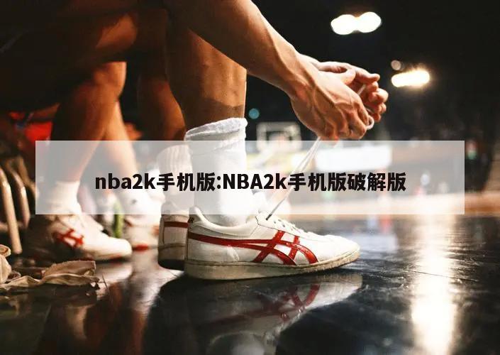 nba2k手机版:NBA2k手机版破解版