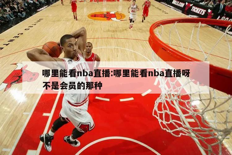 哪里能看nba直播:哪里能看nba直播呀不是会员的那种