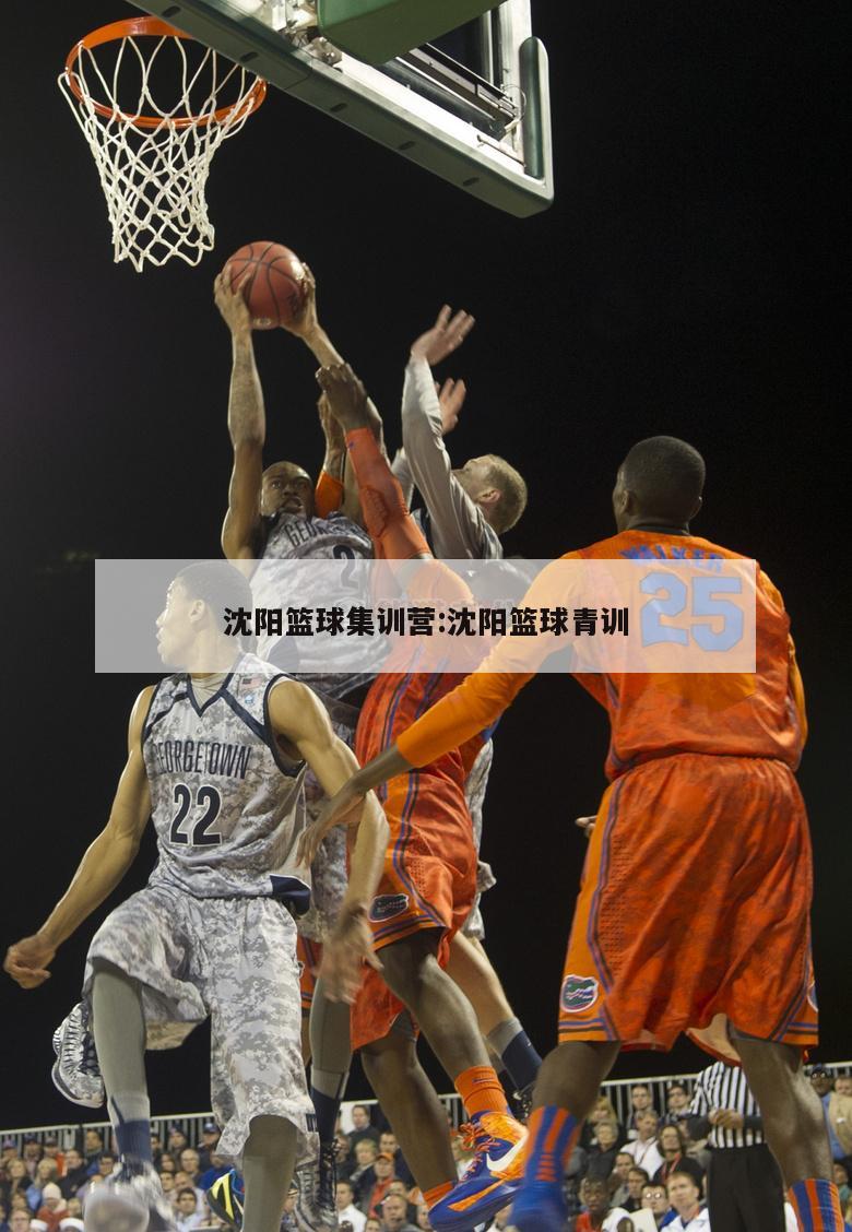 沈阳篮球集训营:沈阳篮球青训