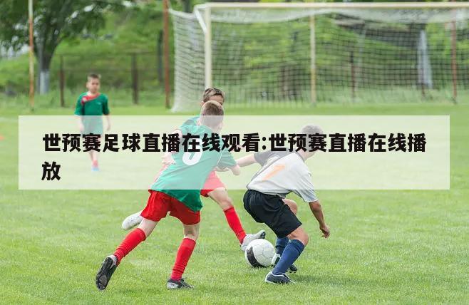 世预赛足球直播在线观看:世预赛直播在线播放