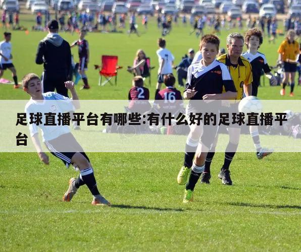 足球直播平台有哪些:有什么好的足球直播平台