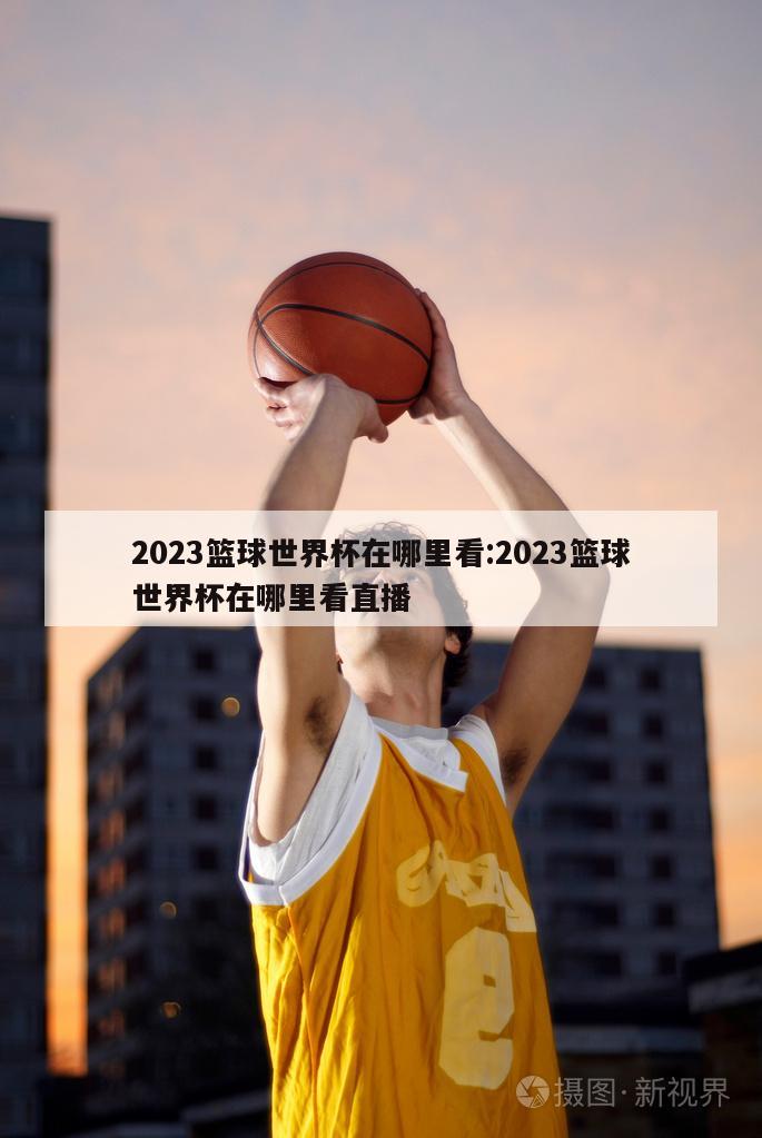 2023篮球世界杯在哪里看:2023篮球世界杯在哪里看直播
