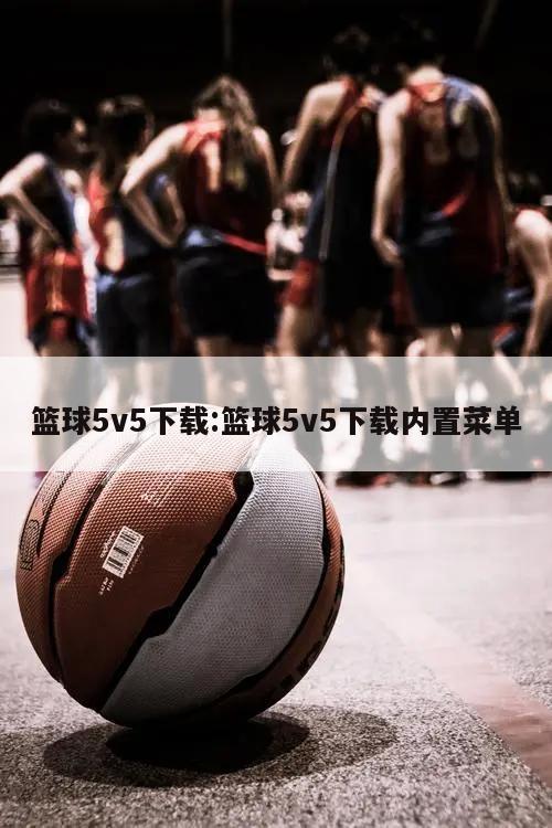 篮球5v5下载:篮球5v5下载内置菜单