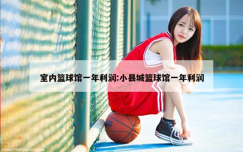 室内篮球馆一年利润:小县城篮球馆一年利润